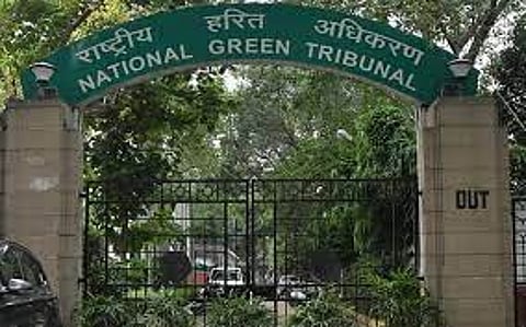 पर्यावरण मानदंडों का उल्लंघन: एनजीटी ने असम वन विभाग को नोटिस जारी किया