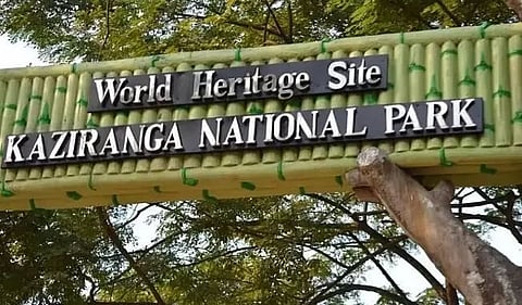 सूचना: काजीरंगा राष्ट्रीय उद्यान सफारी पर सूचना