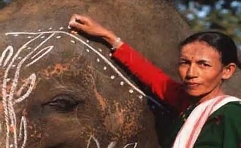 भारत की पहली महिला 'महावत' ने पद्मश्री पाने के लिए सारी बाधाएं तोड़ दीं