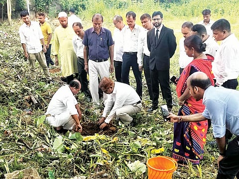 'एक पेड़ माँ के नाम': न्यायपालिका और डीएलएसए द्वारा गोवालपारा जिला न्यायालय में विशेष पौधारोपण अभियान चलाया गया