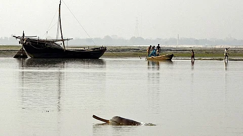 बोकाखाट में डिफालु नदी में 14 वर्षीय छात्र लापता