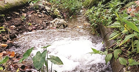 डिगबोई में 8 महीने से जारी पानी के रिसाव से एओडी के खिलाफ जनता में आक्रोश