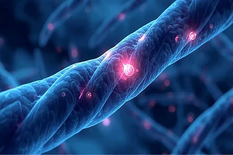 अध्ययन: वैज्ञानिकों ने खोजा ऐसा अणु जो व्यायाम जैसा असर करने के साथ बुढ़ापा भी धीमा करता है