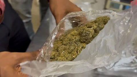 अरुणाचल प्रदेश: ईस्ट सियांग पुलिस ने ड्रग तस्करों को पकड़ा, गांजा जब्त किया