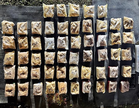 कछार में असम राइफल्स ने ₹4.05 करोड़ मूल्य की हेरोइन जब्त की