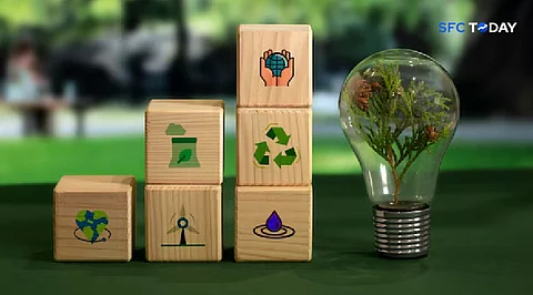 Sustainable Stocks Why ESG Investing Is Rewriting the Rulebook