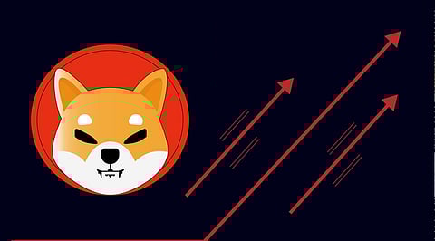 Shiba Inu price prediction for March 2024