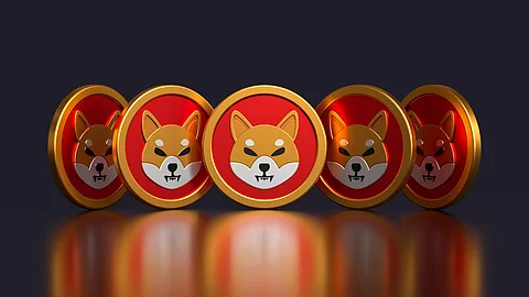 Shiba Inu-backed Devs Launch DeFi Bridge for 3 Blockchains