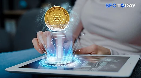 10 Most Popular and Trusted Crypto Exchanges in Australia