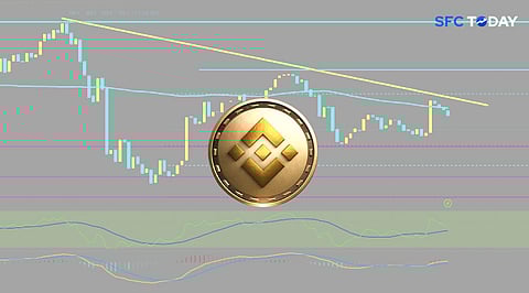 BNB’s Price Rally: The Impact of Support Retention