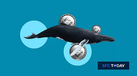 Ethereum Whales Move – ETH Price Outlook