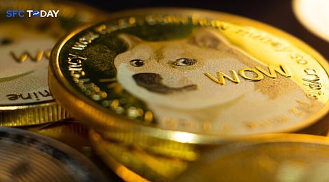 Shiba Inu Coin Price: Will Current Support Levels Hold Amidst Sell-Offs?