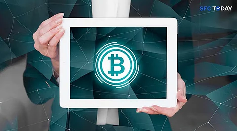 Student-Friendly Bitcoin Investments: 2024 Outlook