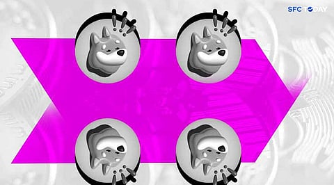 BONK Soars Over 31% on DAO Burn Proposal Approval