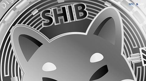 Shiba Inu Faces Downward Pressure Towards $0.00002088 Amid Market Turbulence
