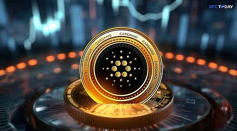Cardano (ADA) Price Tumbles Despite Whale Activity, Will Bulls Recover?