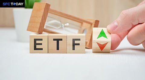 Discover 10 Best Monthly Dividend ETFs to Invest in