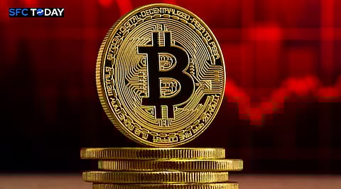 Top 10 Cryptocurrency Gainers of May 10, 2024