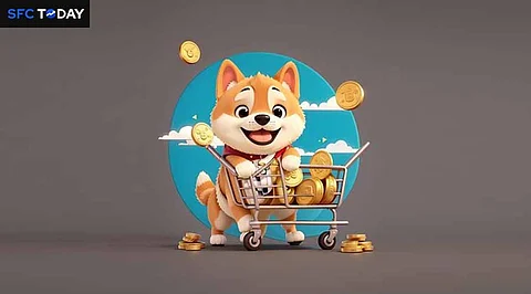 What is Dogecoin? Where and How to Buy Doge