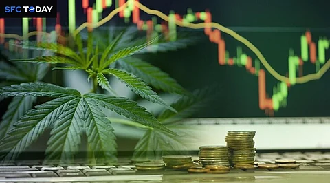 Cannabis Stocks to Buy In 2024