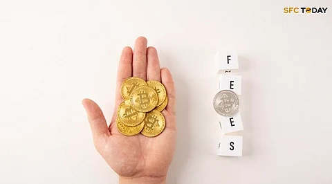 How Cryptocurrency Prices Change?