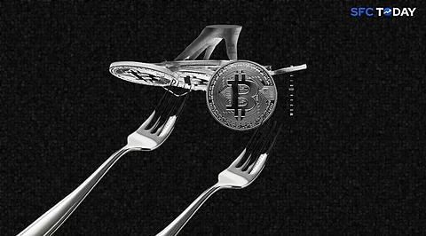 What is a Fork in Cryptocurrency and Why Does It Occur?