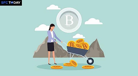 Crypto Price Today: Bitcoin Surges $55K, SOL and BNB Roar