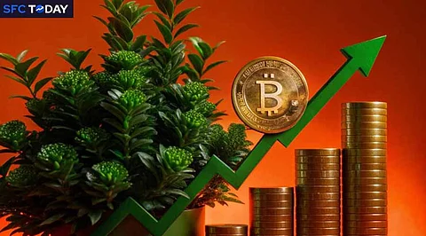Crypto Price Today: Bitcoin Flat at $59K, Solana Up 0.38%