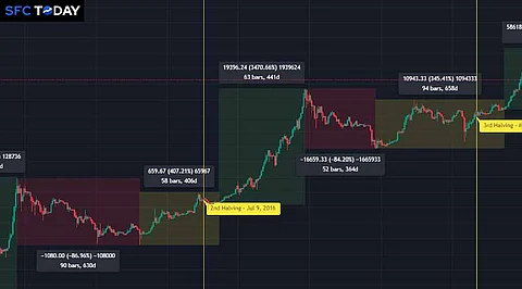 Cryptocurrency Market Cycles: Bull and Bear Trends