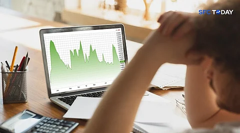 Momentum Funds Crash: What Happened to the Market Darlings