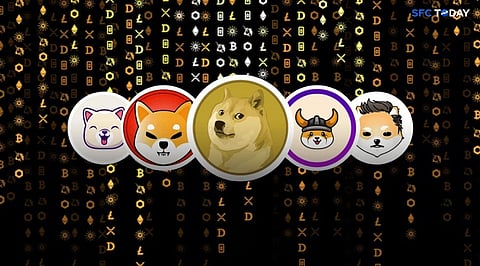 The Memecoin Rush: How to Profit from the Crypto Dip