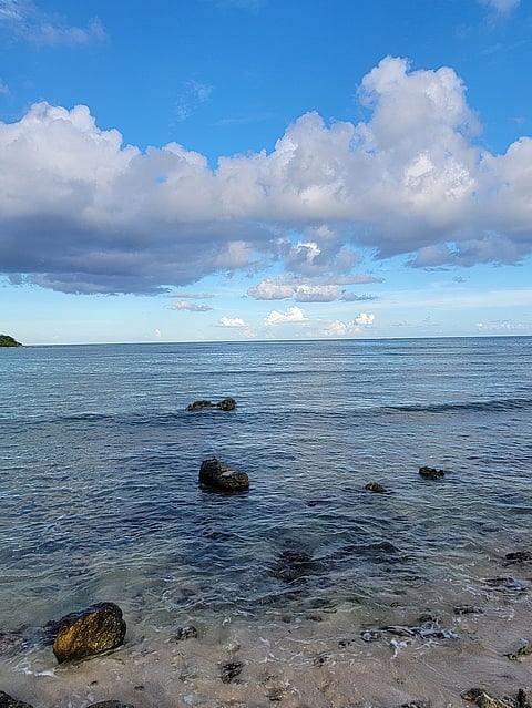 Photo by D'angelo Thompson