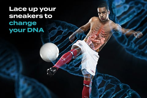 The Genetic Workout: Can Exercise Rewrite Your Genes?