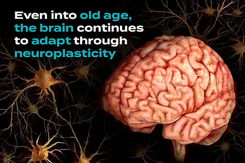 7 Reasons Why Your Brain is the Most Amazing Thing in Existence