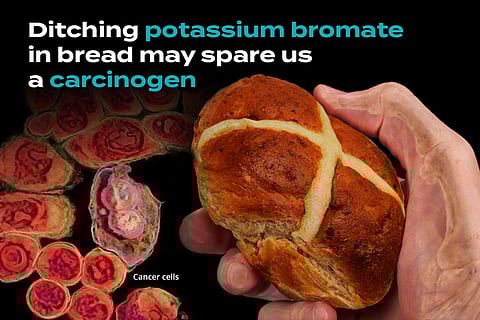 Is Cancer Hiding in Your Daily Loaf of Bread?
