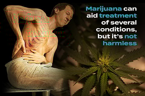 Weed Has Its Merits, But the Grass Isn’t Always Greener