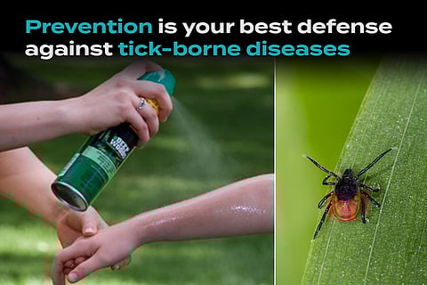 Ticks Are the Real Creepy Crawlies You Need to Worry About