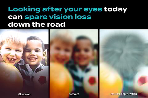 Your Windows to the World are Delicate Flowers, So Take Care of Them