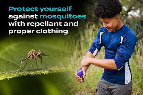 We’re Coming Into Peak Season for Mosquitoes. Are you Prepared?