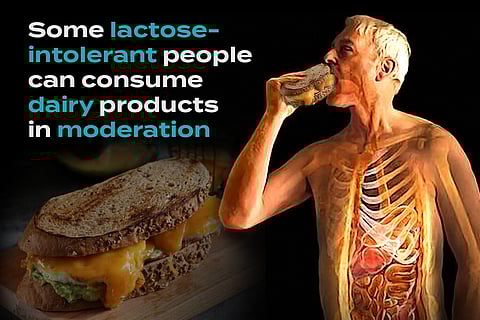 How to Tolerate Lactose and Avoid a Cheesy Death