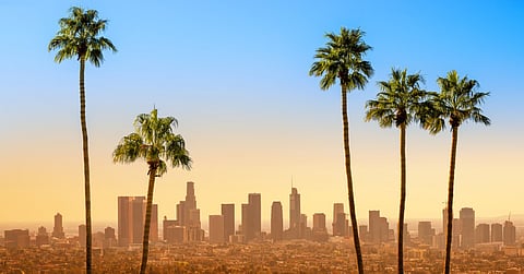 Panoramic view of the skyline of downtown Los Angeles during sunset with five skinny palm trees framing the sides.