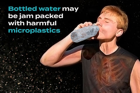 For Your Health, Ditch Plastic Water Bottles and Choose Filtered