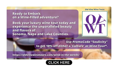 Old Vine Wine Tours
