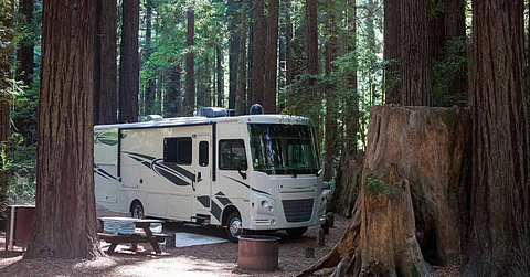 A large white RV parked in a forest and surrounded by tall trees. There is a picnic table next to the RV.