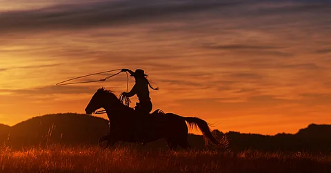Silhouette of a horse and rider against an orange sky. The rider swings a lasso in the air as they move in a field of tall grass.