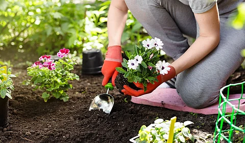 A woman kneeling in a garden surrounded by plants and equipment. She is digging into the soil to plant some white flowers.