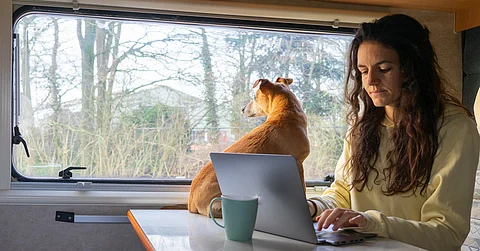 A brown-haired woman working on a laptop inside a vehicle while her small brown dog looks out the window.