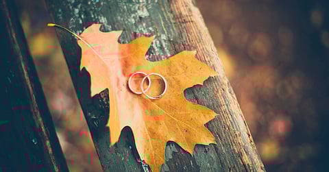 Two different-sized gold rings sit on a yellow-orange leaf. The leaf sits on a distressed piece of wood.
