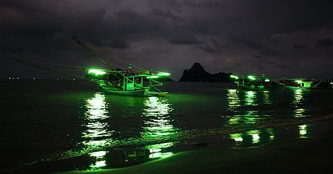 Several fishing boats near the shore of a body of water. It is nighttime and the boats have green lights aboard.