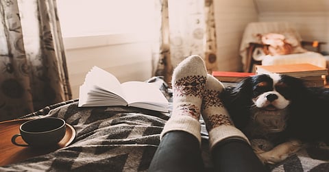 A person's feet with knitted socks lays on the bed, next to a small dog, a cup of tea, and a book.